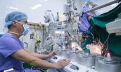 Cuộc chia li hồi sinh