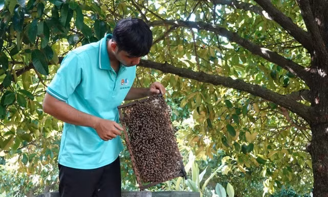 Khởi nghiệp thanh niên nông thôn 2025: Nhiều dự án phát huy tài nguyên bản địa, bảo vệ môi trường