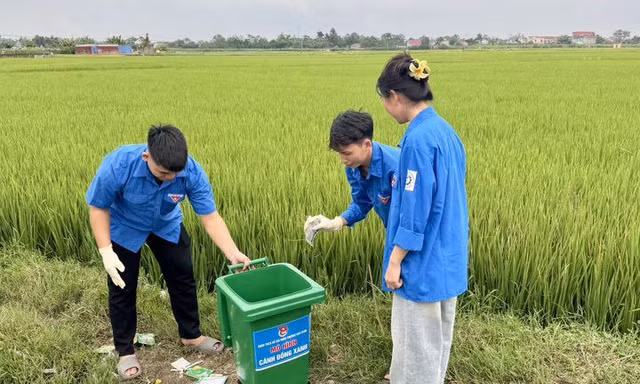 'Cánh đồng xanh’ của tuổi trẻ Thái Nguyên