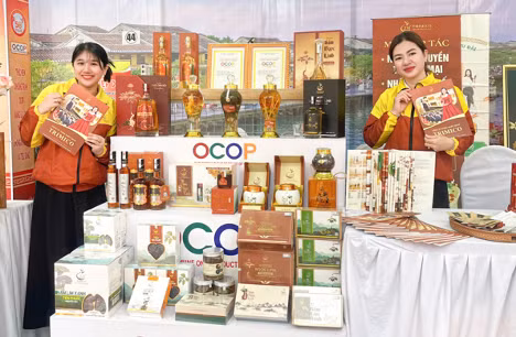 TRIMICO: Biến giá trị bản địa thành vũ khí kinh doanh