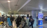 Sân bay Tân Sơn Nhất giám sát chặt hành khách từ vùng dịch bệnh virus Nipah