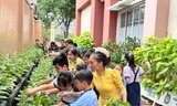 Giữa lòng TPHCM, học sinh tiểu học làm nông, hái rau