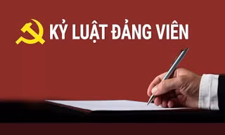 Kỷ luật Phó Giám đốc Ban Quản lý dự án ở Tuyên Quang