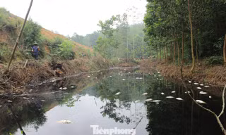 Cá chết trắng, bốc mùi hôi thối trên kênh nước đen kịt cạnh khu xử lý thải ở Phú Thọ