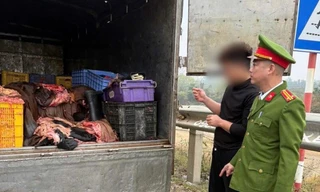 Phát hiện xe tải chở 1,2 tấn mỡ và da trâu không chứng nhận kiểm dịch