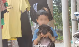 Chuyện lạ ở Phú Thọ: Hai đứa trẻ 7 và 11 tuổi không giấy khai sinh, không được đến trường