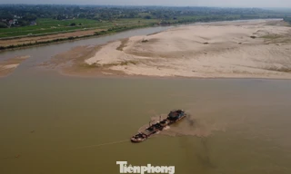 Mực nước sông Hồng qua Phú Thọ xuống thấp, nhiều đoạn trơ đáy