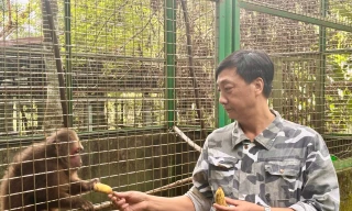 Nơi ứng cứu động vật sách đỏ ở Phú Thọ