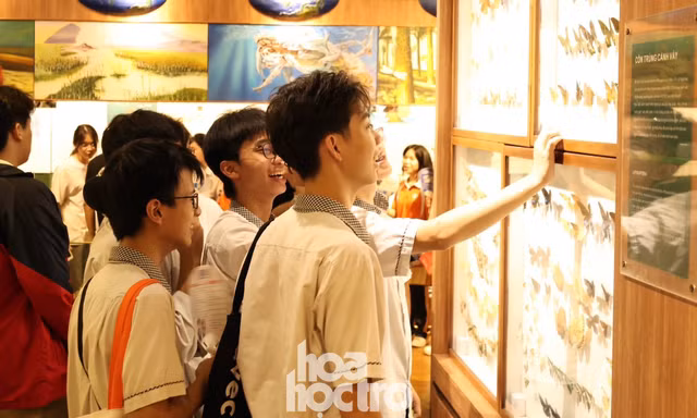 "Sít-rịt": Đi Ngày hội tuyển sinh Khoa học và Công nghệ được khám phá miễn phí Bảo tàng Thiên nhiên