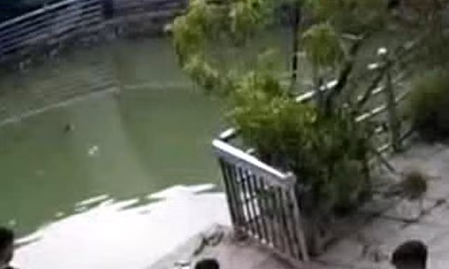 Hà Nội: Hai anh em ruột tử vong thương tâm do rơi xuống giếng nước gần khu trọ
