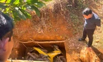 Phát hiện xe máy nghi liên quan vụ cướp ngân hàng ở Gia Lai được chôn dưới hố đất
