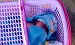 Bé trai chừng 1 tháng tuổi bị bỏ rơi cùng bức thư của người mẹ đang là học sinh