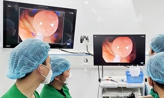 Ảnh minh họa: Internet