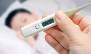 Ảnh minh họa: Internet