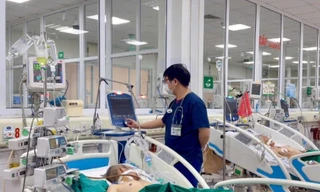 Ảnh minh họa: Internet