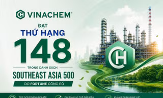 Vinachem được vinh danh Top 500 doanh nghiệp hàng đầu Đông Nam Á năm 2026