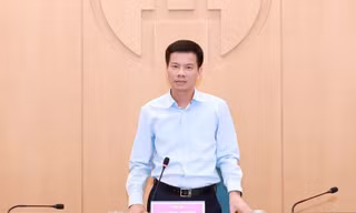 Hà Nội xem xét xây dựng tổ hợp chăn nuôi lợn trong nhà cao tầng