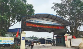 Hà Nội sẽ xử lý người đứng đầu đơn vị, địa phương để xảy ra thực phẩm 'bẩn'