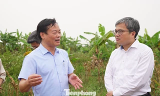 Lãnh đạo Hà Nội trực tiếp "vi hành", đề xuất chính sách đặc thù đẩy nhanh tiến độ cầu Tứ Liên