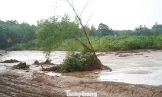 Xử lý nghiêm hành vi lợi dụng thiên tai xả thải chưa xử lý ra môi trường