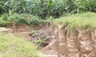 Điều tra vụ múc trộm đất của người dân tại bãi bồi ven sông Hồng