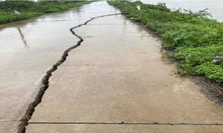 Hàng loạt vị trí đê sông Nhuệ, sông Duy Tiên bị sạt lở, rạn nứt