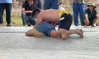 Góc nhìn khác về trách nhiệm pháp lý trong vụ đô vật tử vong khi thi đấu ở Hà Nội