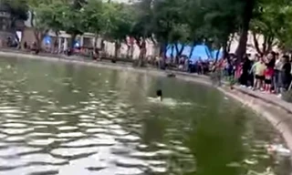 Thông tin chính thức về vụ người phụ nữ tử vong tại hồ Gươm