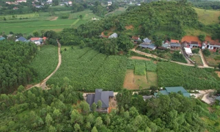 Gần 50 điểm nguy cơ sạt lở tại Ba Vì, Chủ tịch Hà Nội yêu cầu khẩn trương xử lý