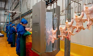 Hà Nội lên phương án xử lý 578 cơ sở giết mổ không đủ điều kiện hoạt động