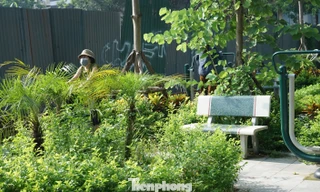 Người dân Hà Nội tập thể dục trong vườn hoa cỏ dại cao quá đầu