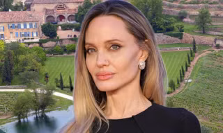 Brad Pitt chỉ trích gay gắt Angelina Jolie