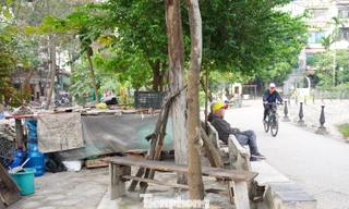 Công viên tại trung tâm Hà Nội bị hàng quán lấn chiếm, bãi cỏ thành nơi trồng rau