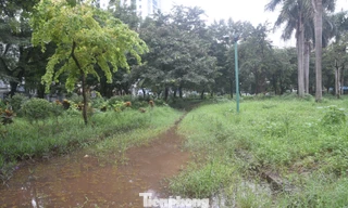 ‘Lá phổi xanh’ giữa trung tâm Thủ đô thành nơi hoang phế