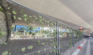 Hà Nội đề xuất sử dụng gầm cầu, gầm đường trên cao cho mục đích công cộng 