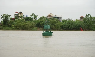 Mực nước sông Trà Lý, sông Hồng dâng cao từng giờ, người dân Hưng Yên đắp bờ chống ngập