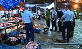 Hà Nội: Phát hiện 5 đối tượng mua bán, vận chuyển, tiêu thụ lợn chết, lợn bệnh