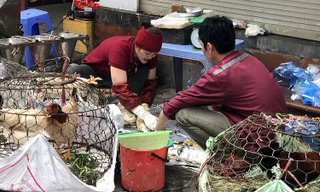 'Chốt hạn' xử lý dứt điểm hơn 700 cơ sở giết mổ gia súc tự phát tại Hà Nội