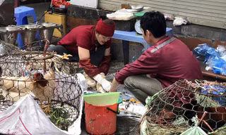 'Chốt hạn' xử lý dứt điểm hơn 700 cơ sở giết mổ gia súc tự phát tại Hà Nội