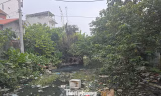 Cư dân phường đông dân nhất Thủ đô khốn khổ vì dòng kênh ngập rác 