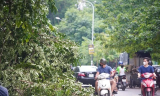 Chủ tịch Hà Nội yêu cầu trực 24/24, tập trung ứng phó bão số 3