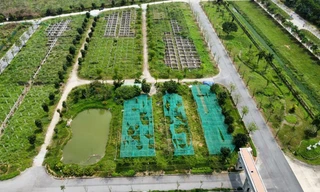 Hà Nội giao hơn 17ha đất để xây nhà liền kề và nhà ở xã hội