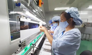 Hà Nội: Chuẩn bị trình 6 dự thảo nghị quyết đặc thù về khoa học, công nghệ