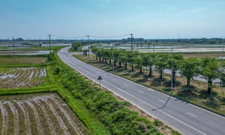 Một xã ở Hà Nội thu ngân sách đạt hơn 600% dự toán