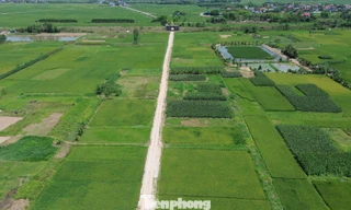 Hà Nội: Cử tri kiến nghị 'nới' quy định về tách thửa 