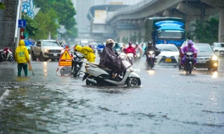 Hà Nội không bị úng ngập, 26 cây xanh gãy đổ do bão số 10