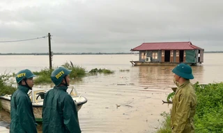 Nước sông Hồng lên cao, Hà Nội vận động dân rời thuyền lên bờ