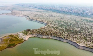 Hà Nội nêu lý do không đấu giá 3 mỏ cát có trữ lượng hơn 10 triệu m3