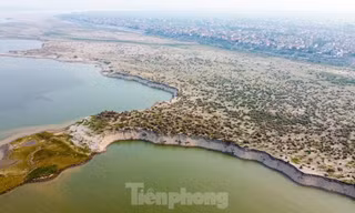 Hà Nội nêu lý do không đấu giá 3 mỏ cát có trữ lượng hơn 10 triệu m3