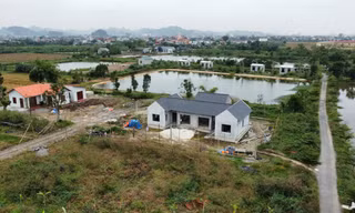  Vi phạm trên đất nông nghiệp diễn ra tràn lan ở Ninh Bình